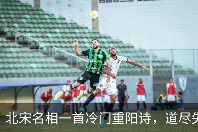北宋名相一首冷门重阳诗，道尽失意后的从容，读来让人心旷神怡