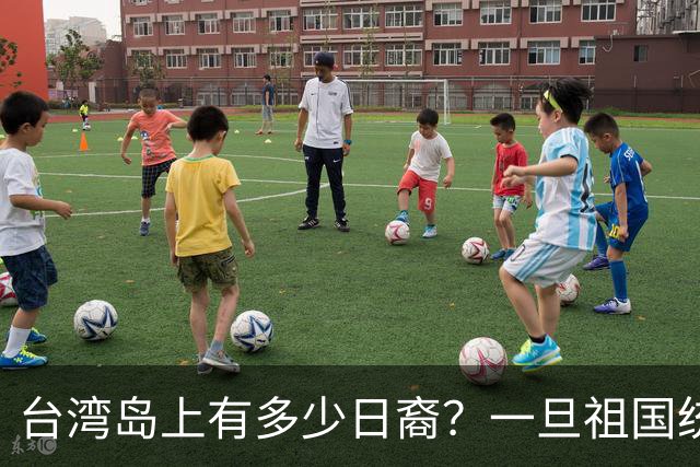 台湾岛上有多少日裔？一旦祖国统一，这些人该怎么安排？