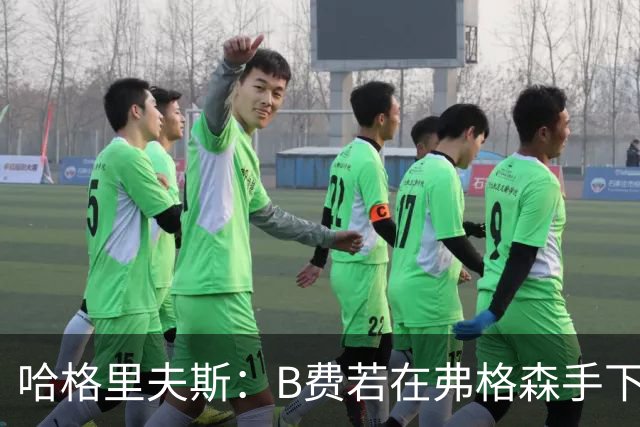 哈格里夫斯：B费若在弗格森手下说这话，就没机会再上场了