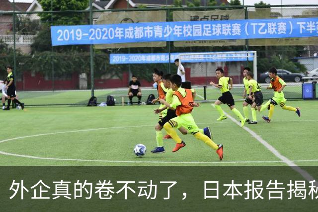 外企真的卷不动了，日本报告揭秘，，中国逼走，4000，家日企，，换来了什么