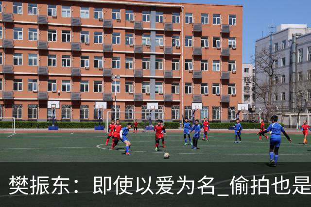 樊振东：即使以爱为名 偷拍也是侵犯他人隐私