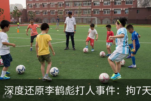 深度还原李鹤彪打人事件：拘7天，何云伟曹云金出走，他却被重用