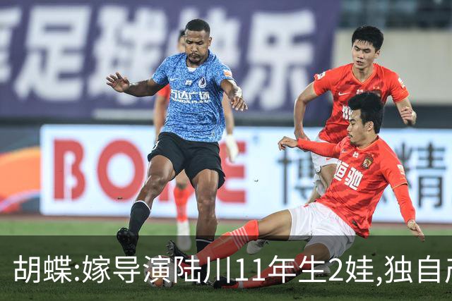 胡蝶:嫁导演陆川11年生2娃,独自产检、长期分居,却过得很幸福